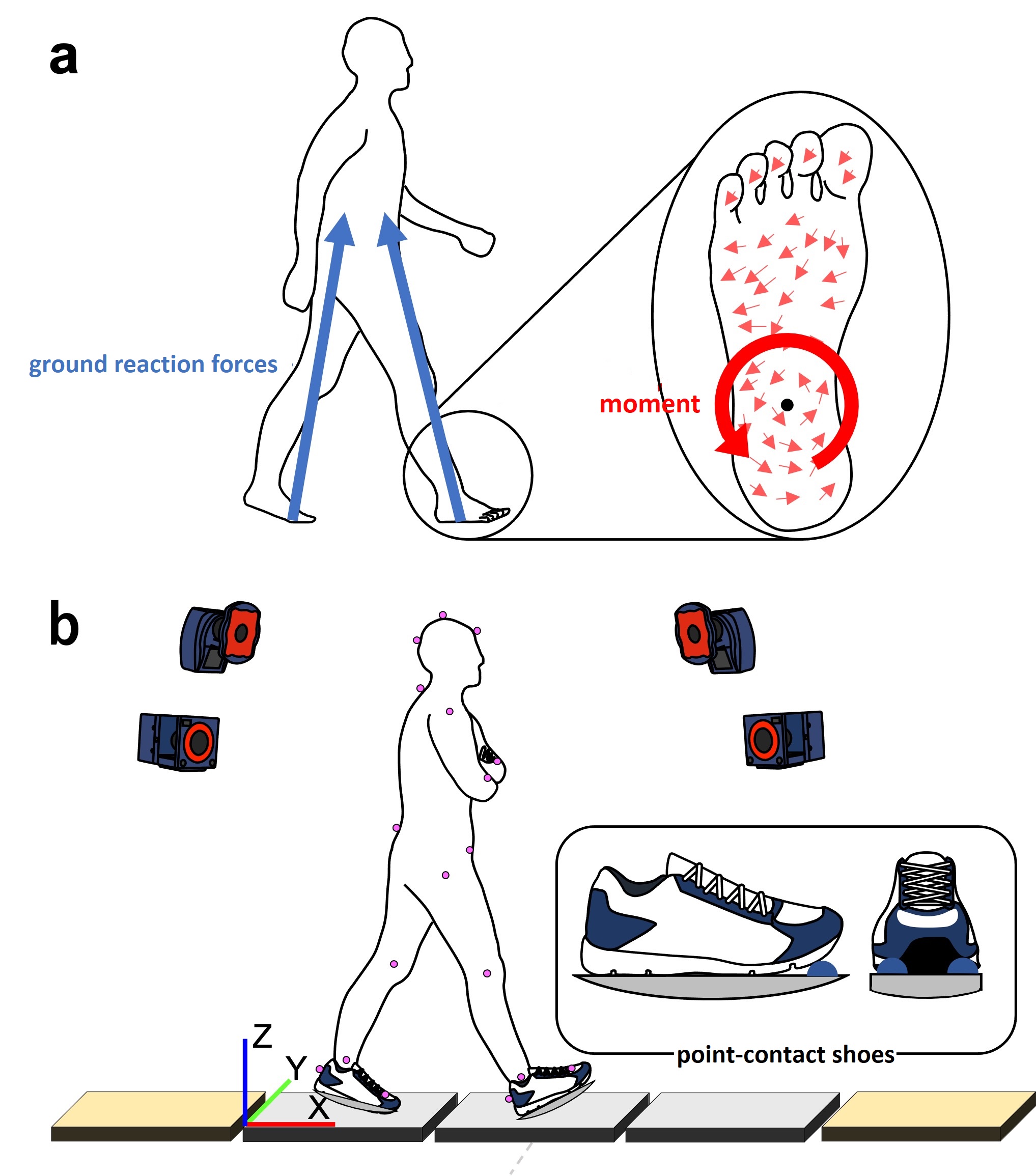 Mysteries in Science (Vol. 21)：The mystery of the moment acting on the sole during bipedal walking